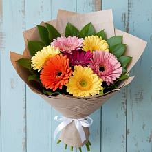 Букет яркий день в Микуни Букет цветов из:  Герберы в Микуни