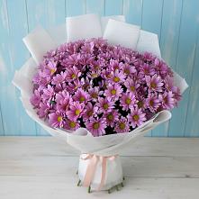 Букет цветов из:  Хризантемы #REPLACE_PRED# Микуни