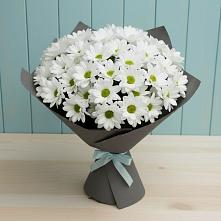Букет белые хризантемы #REPLACE_PRED# Микуни Букет цветов из:  Хризантемы #REPLACE_PRED# Микуни