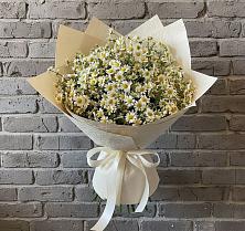 Букет цветов из:  Ромашки #REPLACE_PRED# Микуни